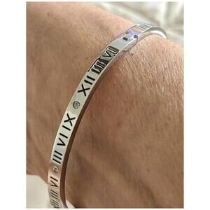 Silver Plated Cubic Zirconia Bangle Bracelet Stainless Steel womens jewelry